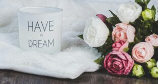 dare un senso alla vita